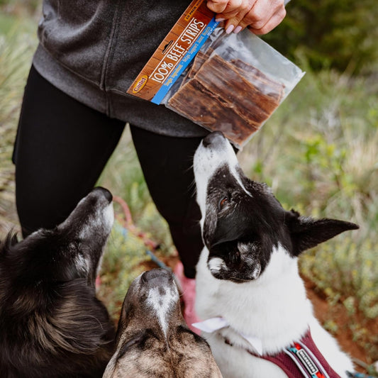 Cadet Beef Sticks Dog Treats - Long-Lasting, Healthy & Natural Beef Esophagus Treats For Small & Large Dogs, Low Calorie & High Protein Dog Chews (12 Oz.)