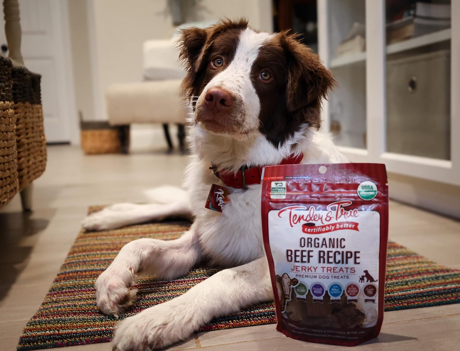 Tender & True Pet Nutrition Organic Beef Jerky Treats (71005) : Pet Supplies