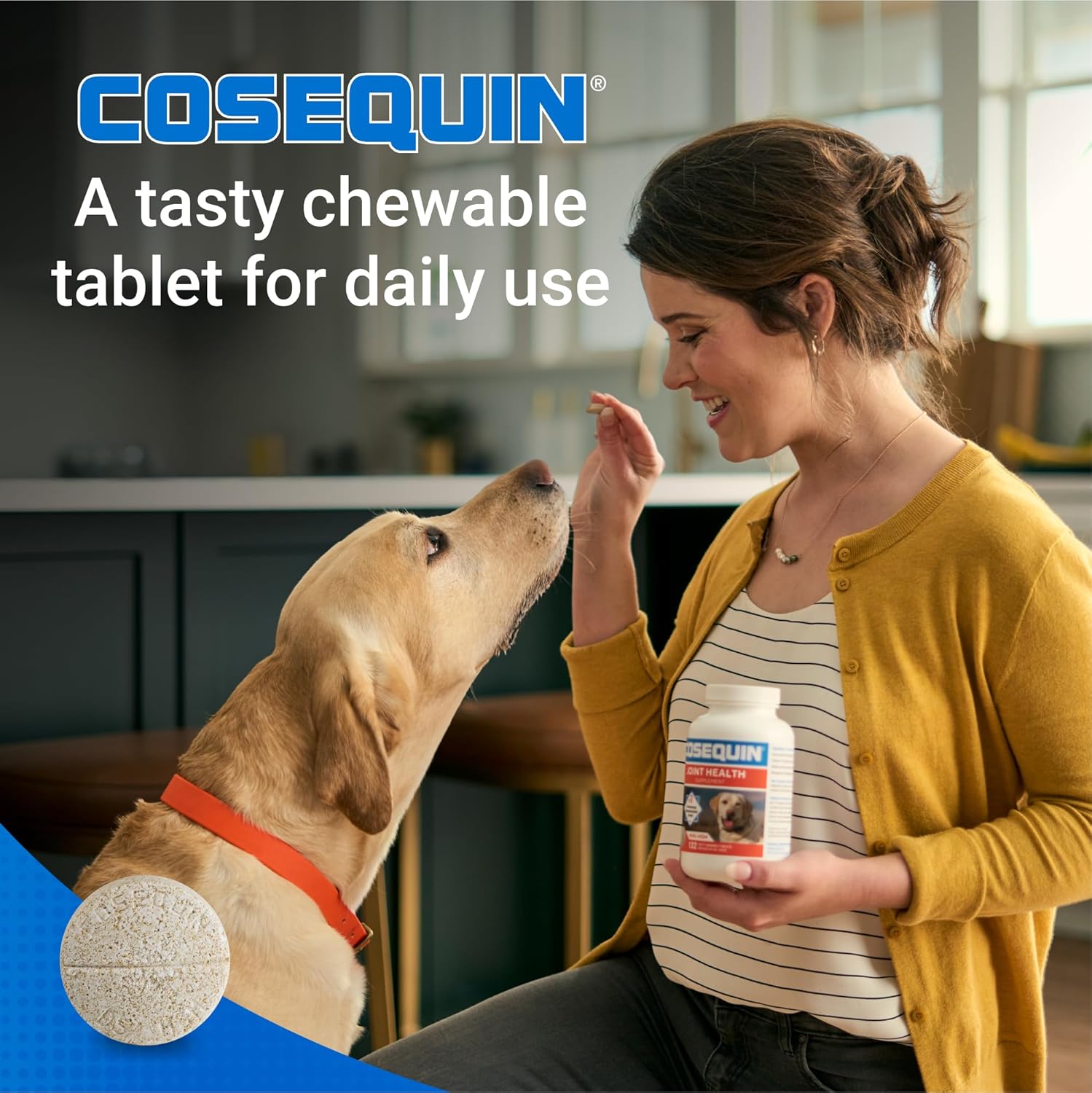 Nutramax Cosequin Maximum Strength Joint Health Supplement For Dogs - With Glucosamine, Chondroitin, And Msm, 60 Chewable Tablets