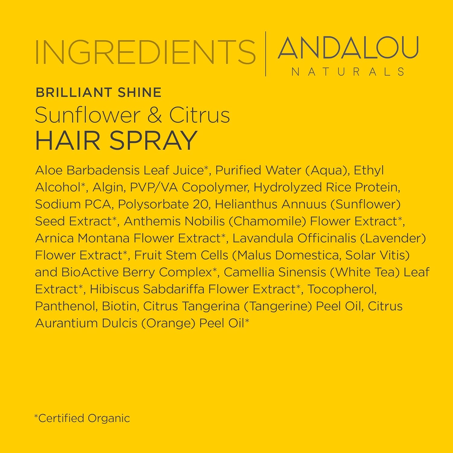 Andalou Naturals Brilliant Shine Hair Spray, Sunflower & Citrus, Styling and Hair Shine Spray with Medium hold, Tames Frizzy Hair & Flyaways, Quick Drying & Non-Sticky, Cruelty Free, 8.2 Fl Oz : Beauty & Personal Care