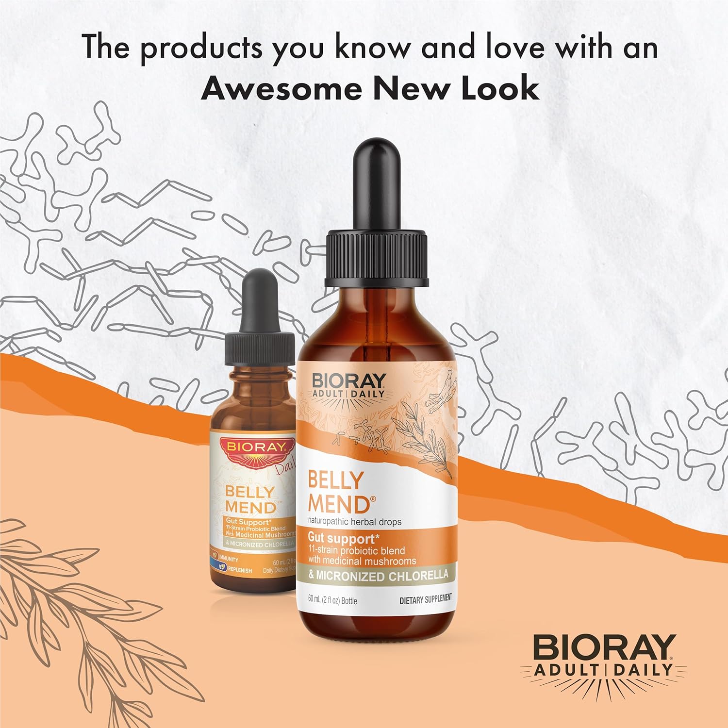 Bioray Daily Belly Mend - 2 Fl Oz - 11-Strain Probiotic Blend With Medicinal Mushrooms - Supports Healthy Gut & Bowel Functions - Non-Gmo, Vegetarian, Gluten Free : Health & Household