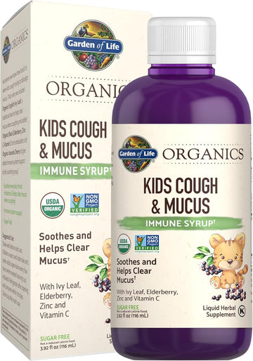 Garden Of Life Organics Elderberry & Zinc For Children'S Immune Support, Kids Cough & Mucus Immune Syrup With Ivy Leaf, Vitamin C And Echinacea, Alcohol-Free, No Added Sugars, 3.92 Fl Oz