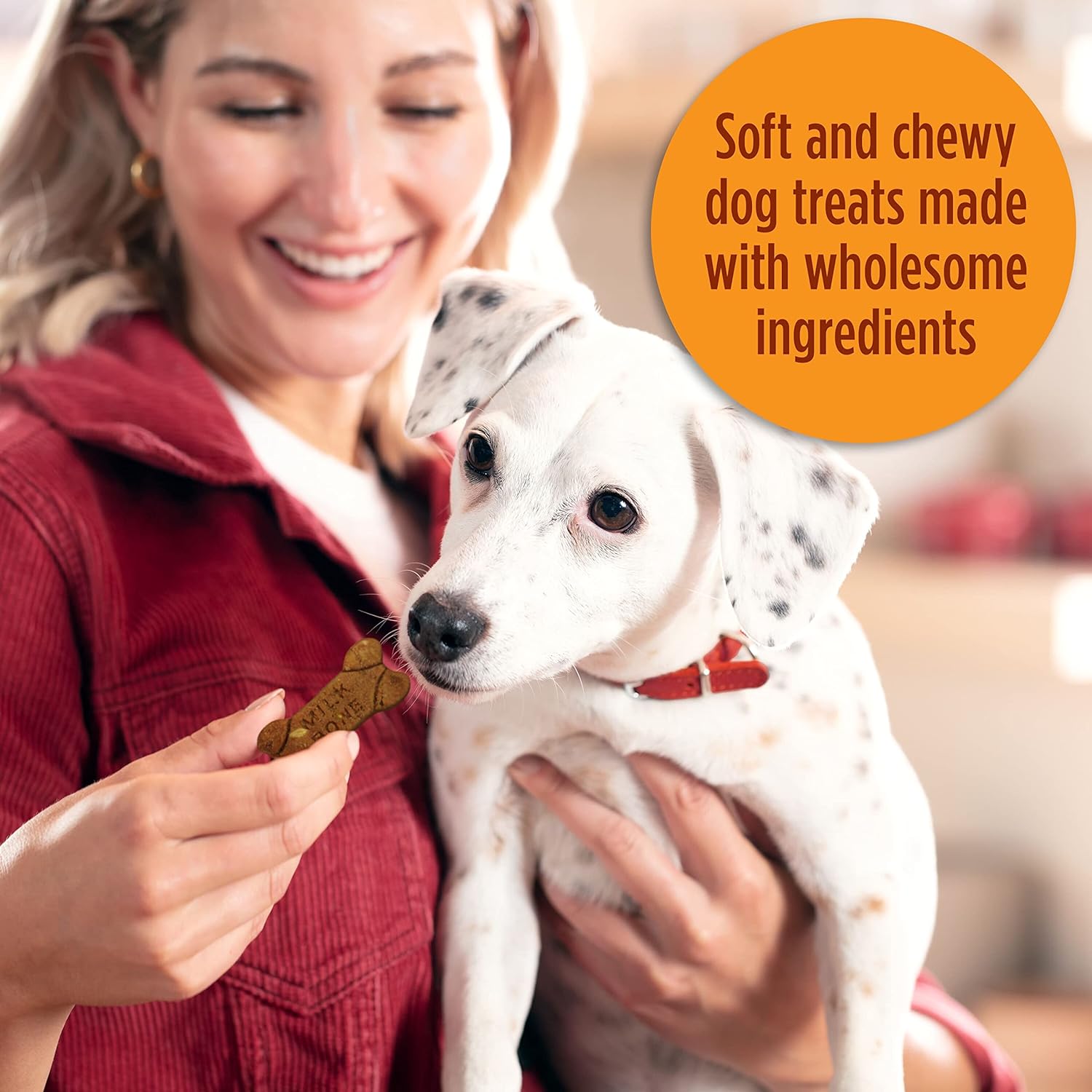 Milk-Bone Simply Soft & Chewy Dog Treats, Wholesome Chicken Recipe, 25 Ounce Made with Real Chicken, Rolled Oats, Sweet Potato & Apples : Pet Supplies