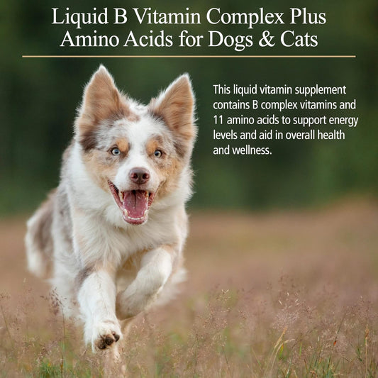 Rx Vitamins Amino B Plex for Pets - B Vitamin Complex Plus Amino Acids for Dogs & Cats - Vitamin Supplements for Dogs' & Cats' Total Body Support - 4 oz