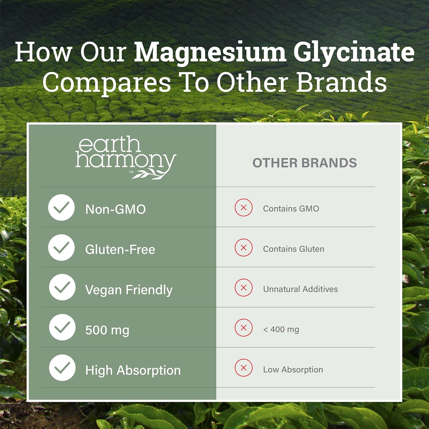 Earth Harmony Chelated Magnesium Glycinate 500mg - 120 Capsules (2-Pack, 1000mg Total) : Health & Household