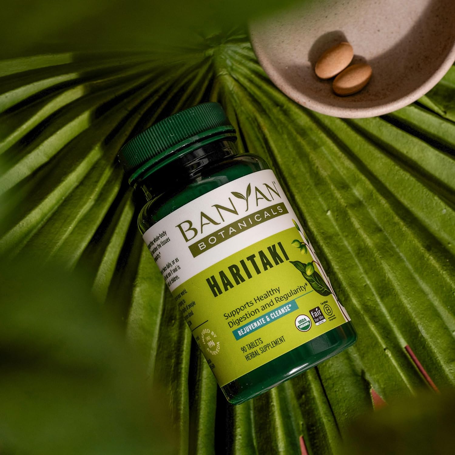 Banyan Botanicals Haritaki Tablets – Certified Organic Terminalia Chebula – Supports Detoxification & Rejuvenation* – 90 Tablets – Non-GMO Sustainably Sourced Certified Fair for Life Fair Trade : Health & Household