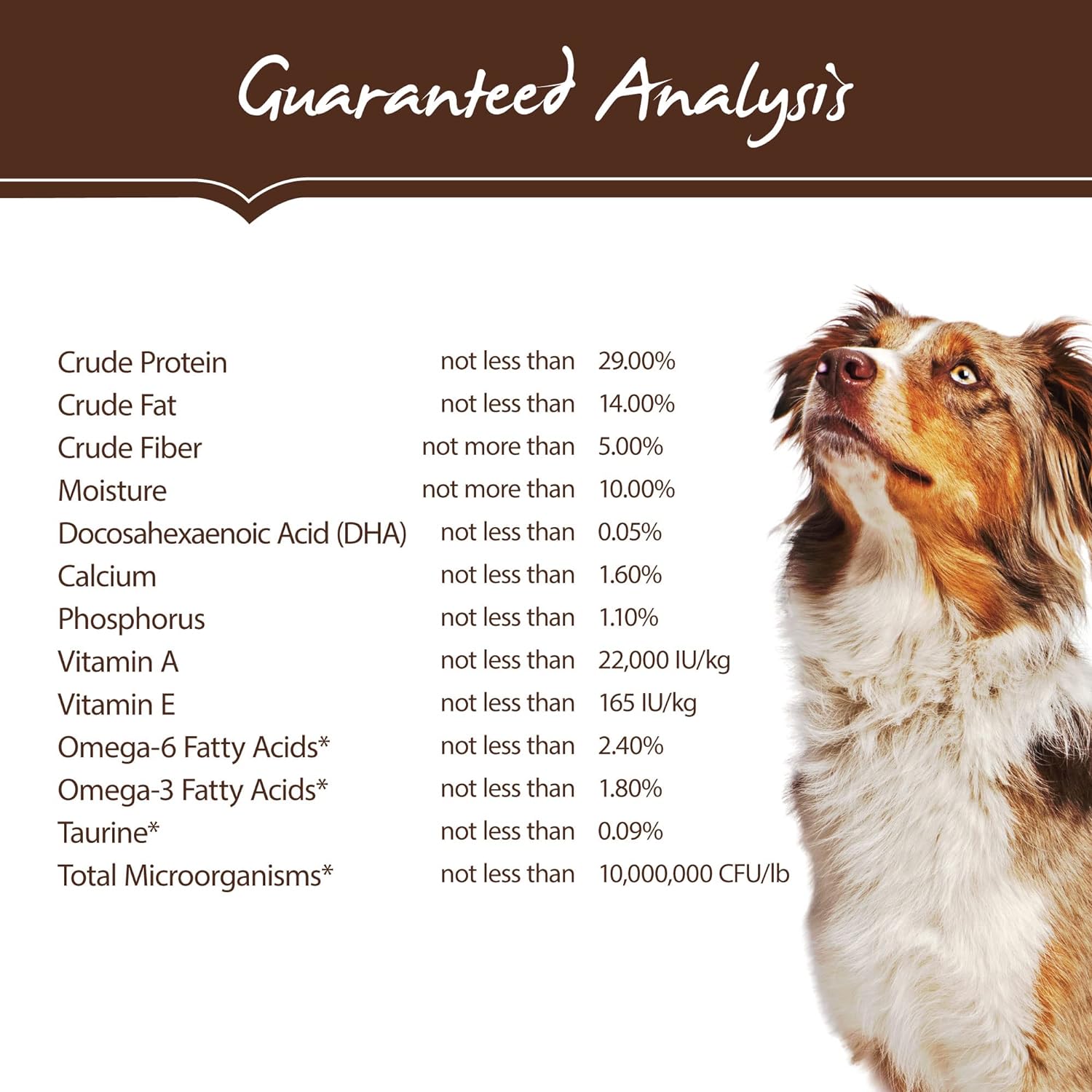 Holistic Select Natural Grain Free Dry Dog Food, Adult & Puppy Salmon, Anchovy & Sardine Recipe, 24-Pound Bag : Pet Supplies