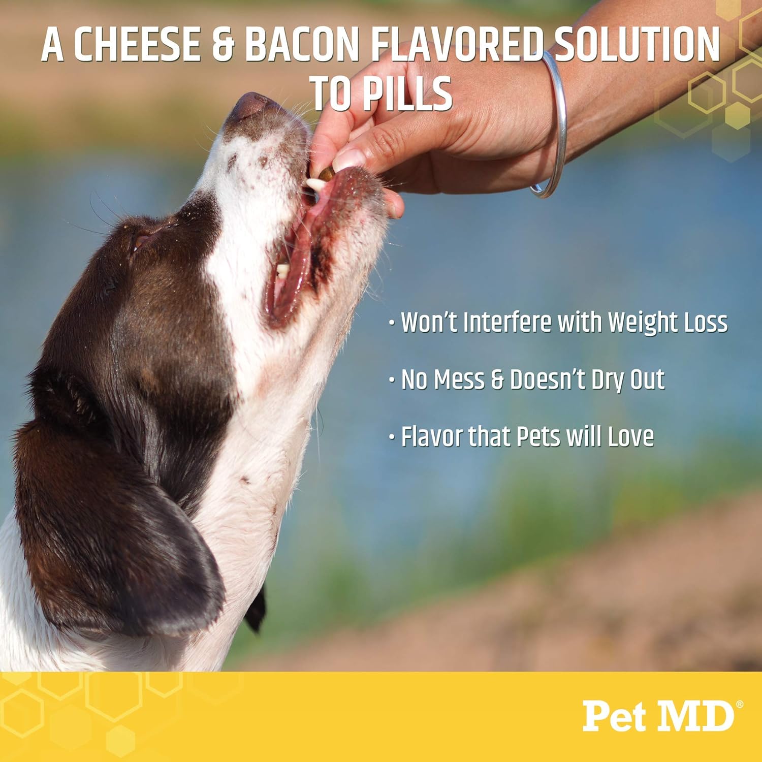 Pet MD Wrap A Pill Cheese & Bacon Flavor Pill Paste for Dogs - Make a Pocket or Pouch to Hide Pills & Medication - 8 oz : Pet Supplies