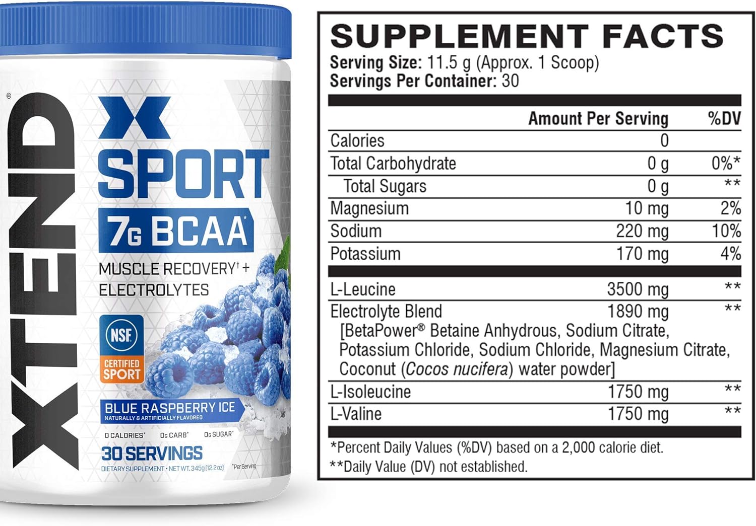 XTEND Sport BCAA Powder Blue Raspberry Ice - Electrolyte Powder for Recovery & Hydration with Amino Acids - 30 Servings : Health & Household