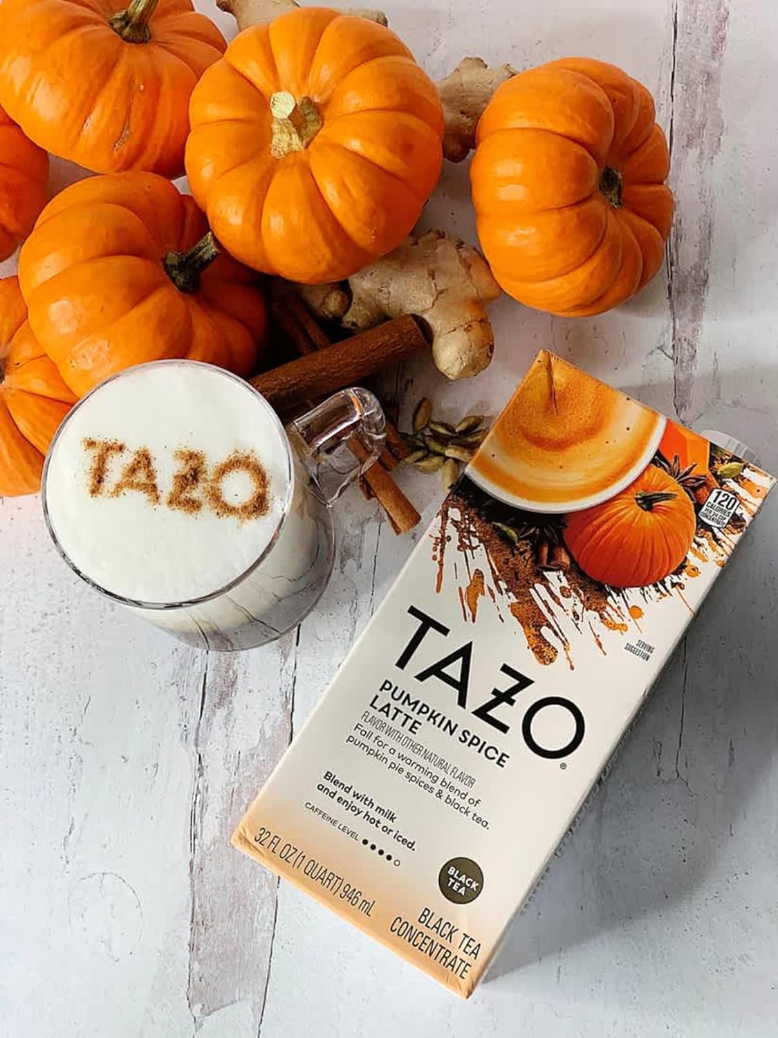TAZO Pumpkin Spice Latte Black Tea Concentrate, 32 oz (Pack of 2) with By The Cup Coasters : Grocery & Gourmet Food
