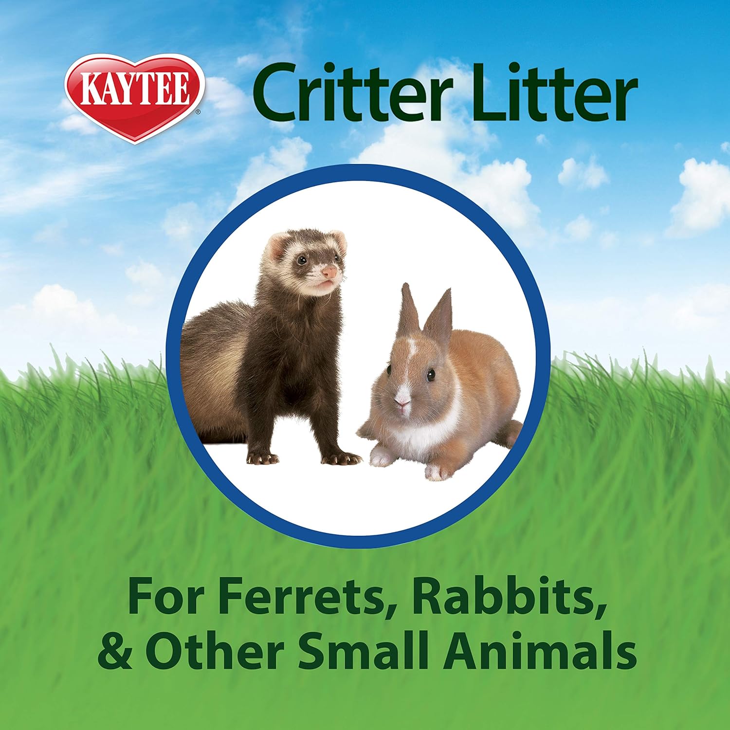 Kaytee Premium Potty Training Critter Litter for Pet Ferrets, Rabbits & Other Small Animals, 4-Pound : Hamster Potty Litter : Pet Supplies