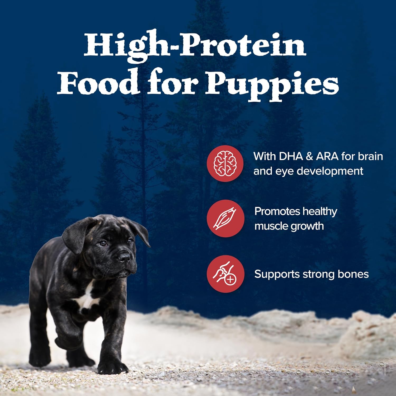 Blue Buffalo Wilderness Rocky Mountain Recipe High-Protein Dry Puppy Food with DHA, Made in the USA with Natural Ingredients Plus Wholesome Grains, Red Meat, 4.5-lb. Bag : Pet Supplies