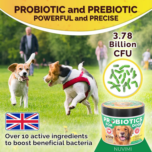 Probiotics For Dogs - Dog Probiotic & Prebiotic Tablets - Digestive Support Supplement For Gut Health, Tummy Relief, Itching, Diarrhoea, Allergies, Bad Breath - 120 Chicken Flavour - By Nuvimi