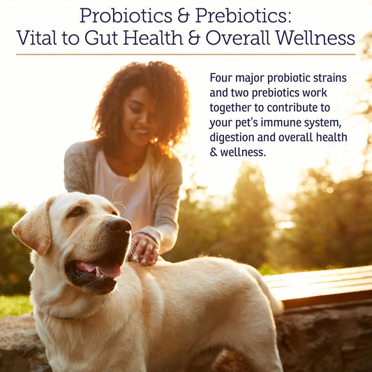 Rx Vitamins Rx Biotic Probiotics For Dogs & Cats - Digestive Supplement For Pets - 2.12 Oz