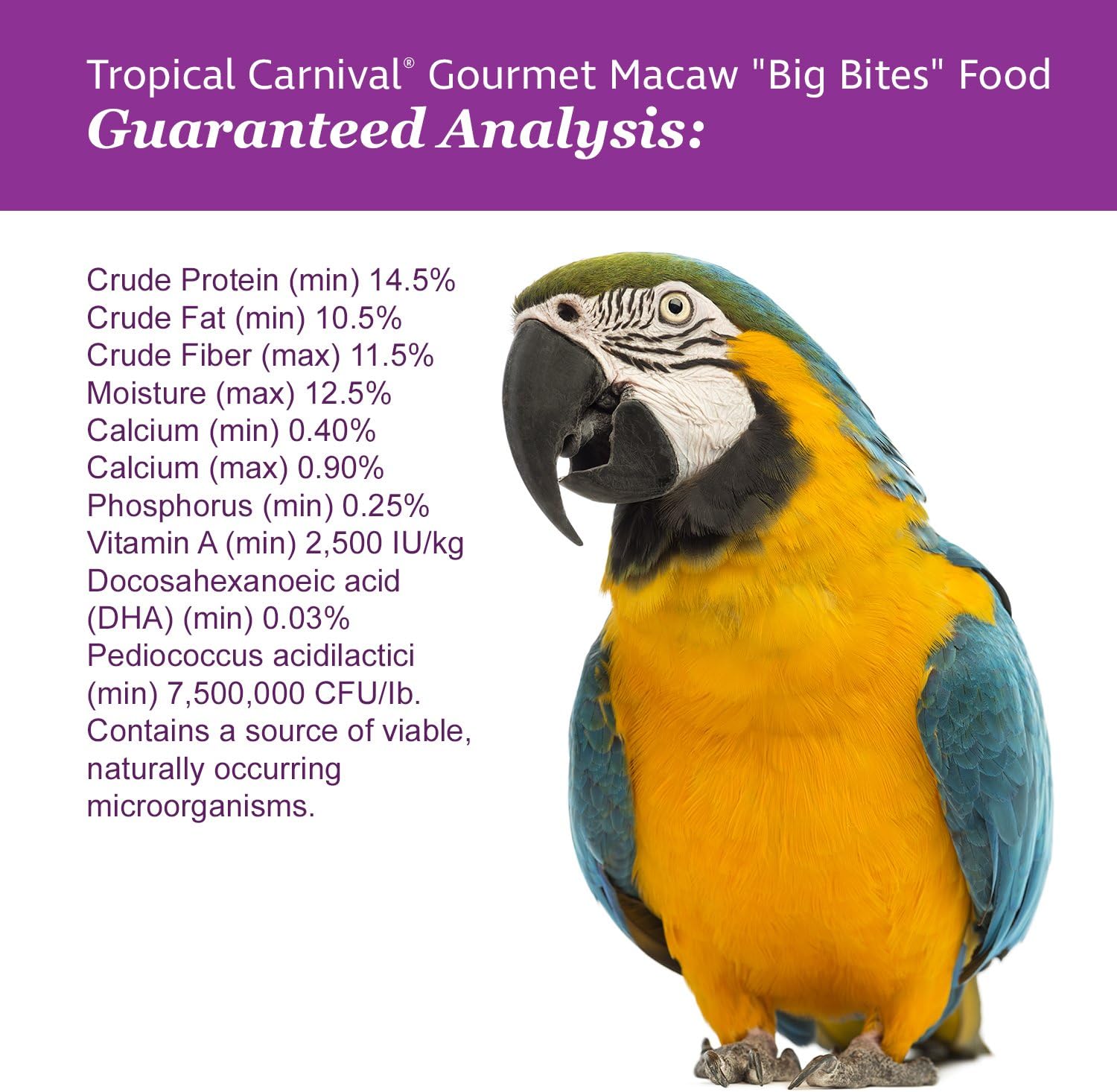 F.M. Brown's Tropical Carnival, Gourmet Macaw Food Big Bites for Big Beaks - Seeds, Veggies, Fruits, and Nuts with Probiotics - 14 lb : Pet Food : Pet Supplies