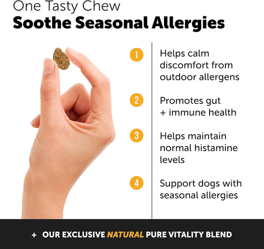 Pethonesty Allergy Support + Hip & Joint Health Soft Chew Bundle - Skin & Seasonal Pollen Allergies - Itch Relief For Dogs - Joint Support, Chondroitin, Msm, Turmeric, Pet Joint Pain Relief Vitamin