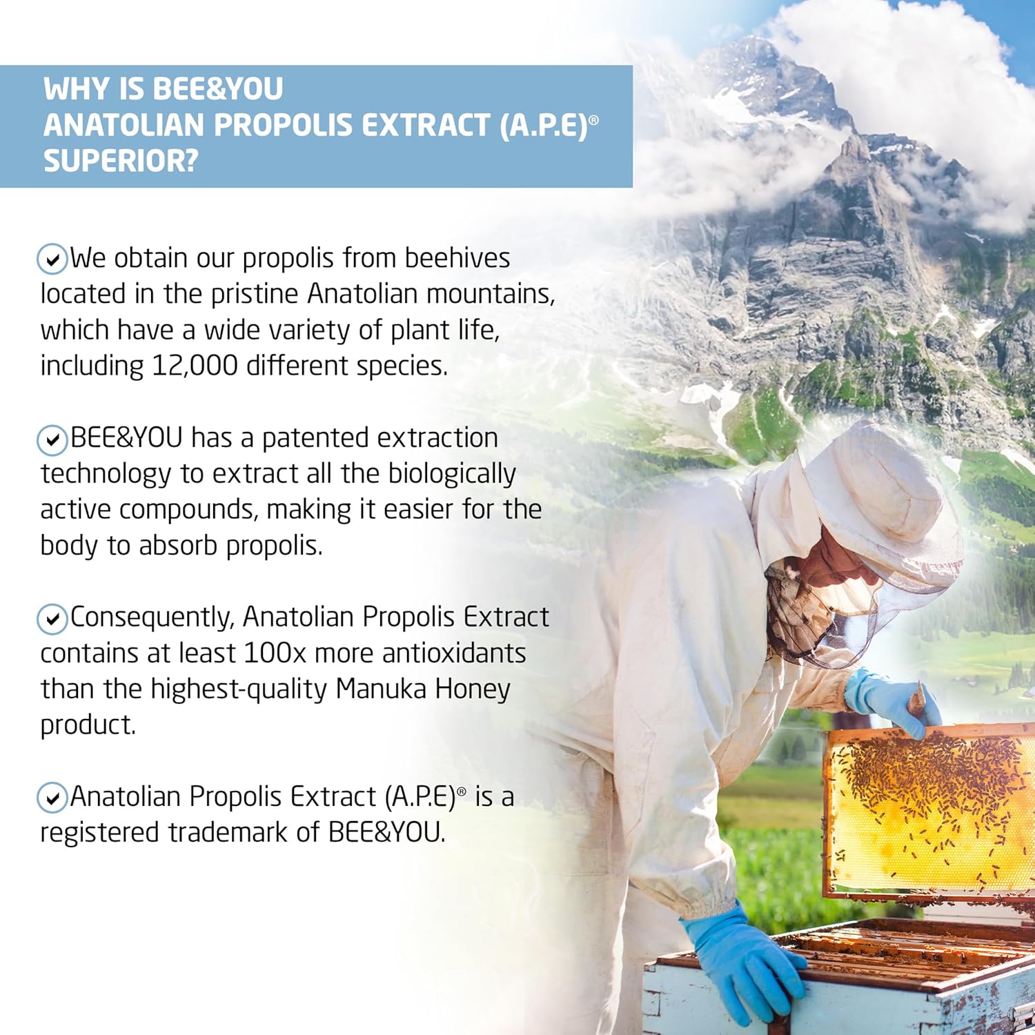 Bee And You 100% Natural Pure Propolis Extract – Water Soluble, Bee Propolis,High Potency, Ultra Pure Immune Support Supplement, Antioxidants, Detox, Gluten-Free, 1 Fl Oz : Health & Household