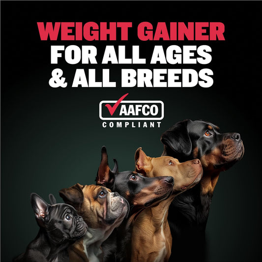 Bully Max Weight Gainer Liquid For Puppies & Adult Dogs | 2-In-1 High Calorie Multivitamin Dog Supplements & Vitamins For Weight Gain With Omega 3 & Whey Protein For All Breeds & Ages - 16 Oz Bag