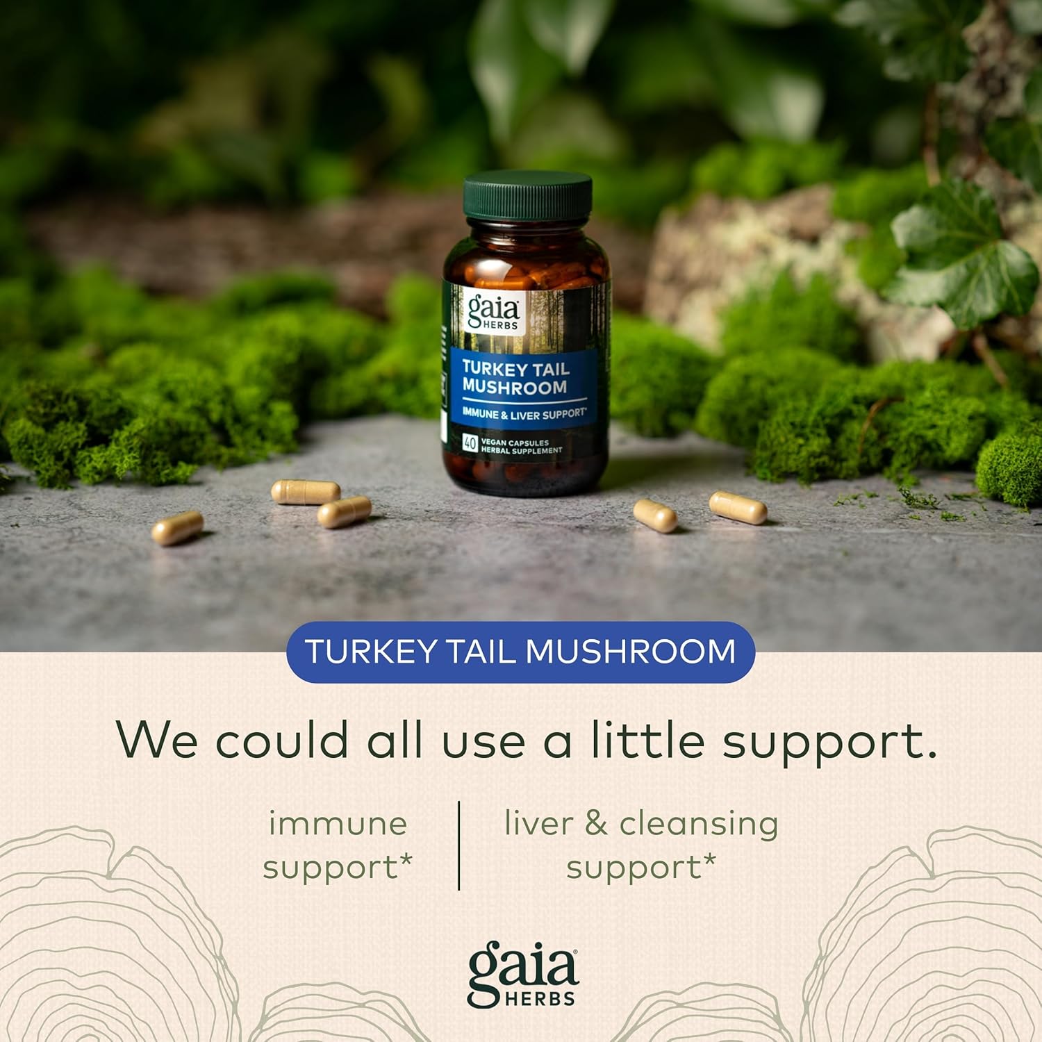 Gaia Herbs Turkey Tail Mushroom - Immune Support Supplement to Help Maintain Liver Health - with Organic Turkey Tail Mushroom Fruiting Body Extract - 120 Vegan Capsules : Health & Household