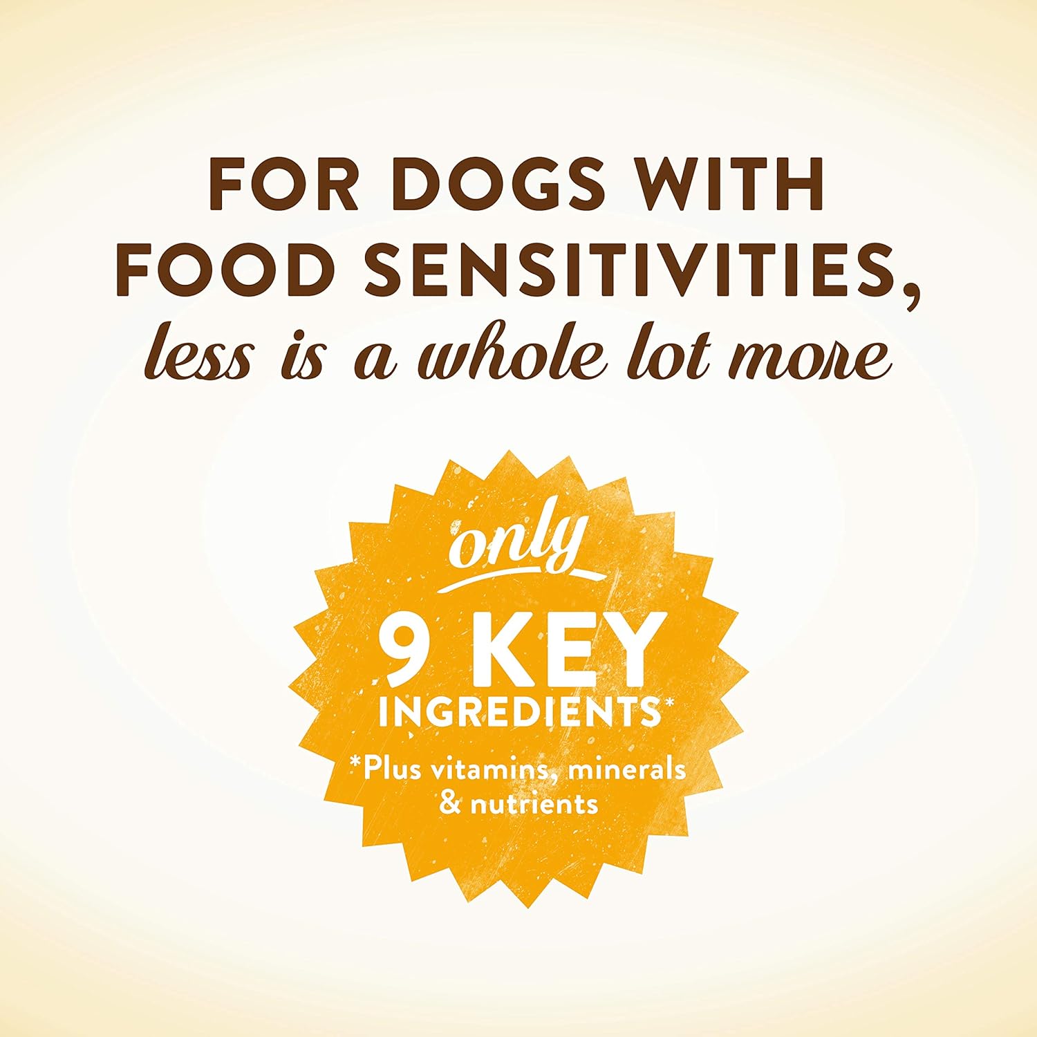Merrick Limited Ingredient Diet Dry Dog Food Real Chicken & Brown Rice Recipe with Healthy Grains - 22 lb. Bag : Pet Supplies