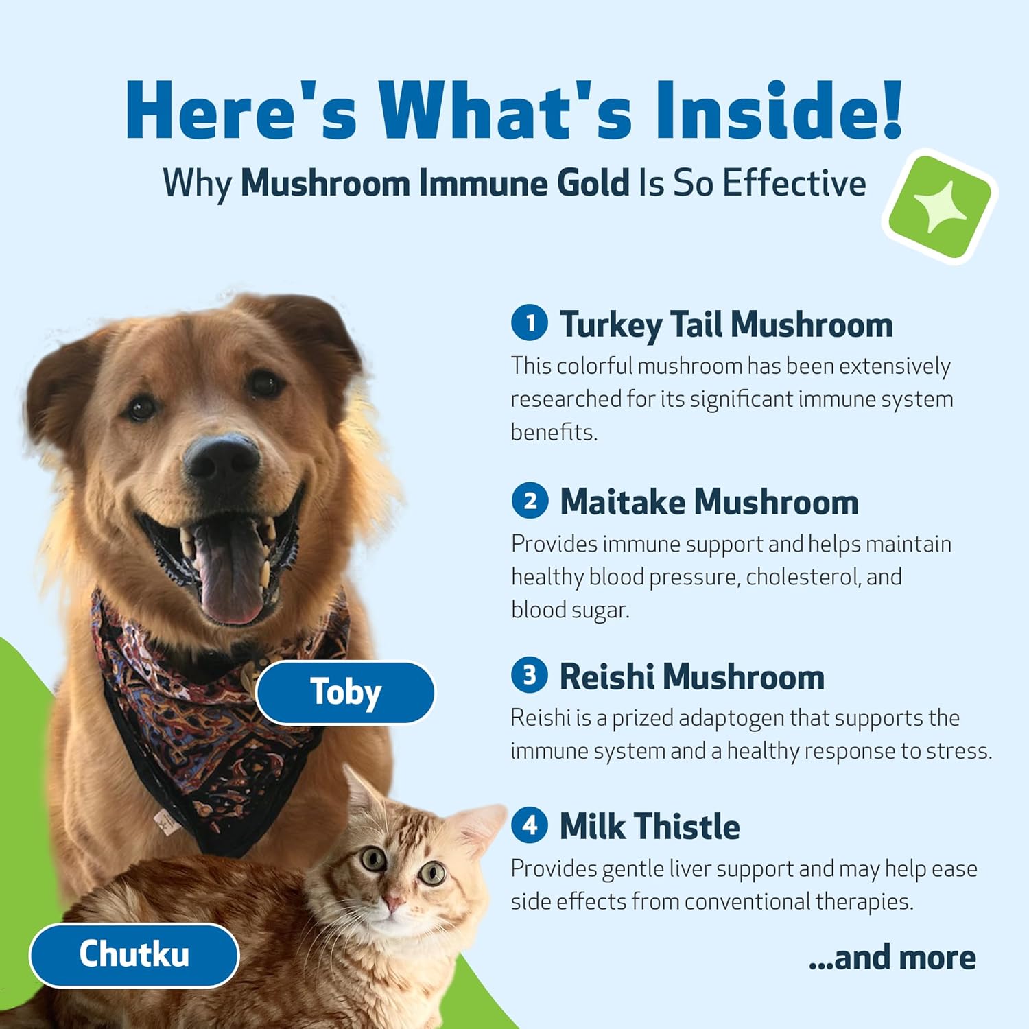 Pet Wellbeing - Mushroom Immune Gold - Natural Alternative Immune Support for Dogs and Cats - 8oz (237ml). : Pet Supplies