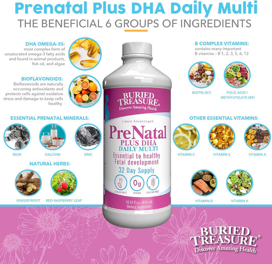 Buried Treasure Prenatal Plus Dha Complete, 16 Oz, Natural Dha Omega3 Iron