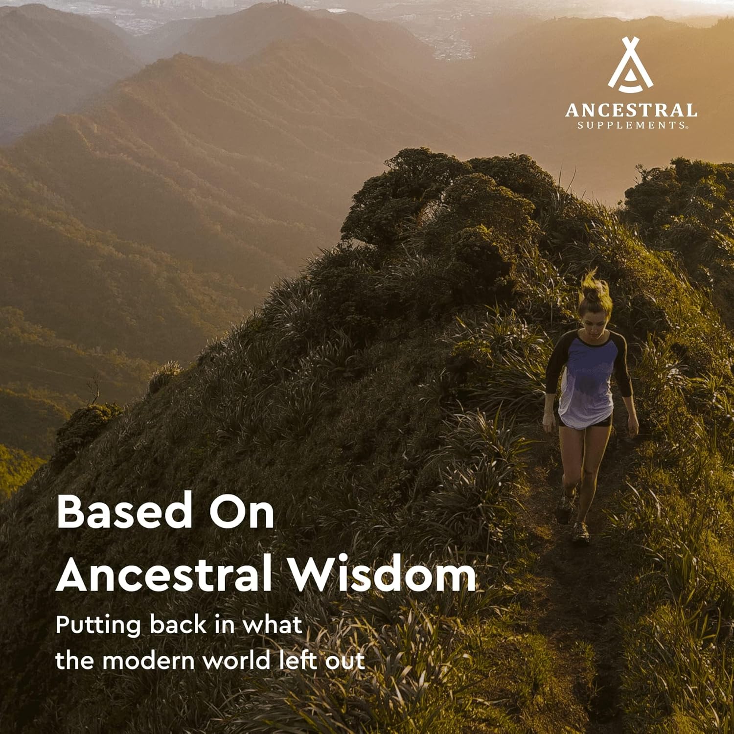 Ancestral Supplements Grass Fed Beef Spleen Supplement, 3000Mg Beef Organ Spleen Support Formula Promotes Digestive, Immune, Iron, Energy And Allergy Health, Non Gmo, 180 Capsules : Health & Household