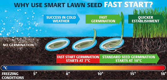 Gro-Sure 20500254 Aqua Gel Coated Fast Start Smart Grass Lawn Seed, 25 m2, 1 kg - Blue?20500254