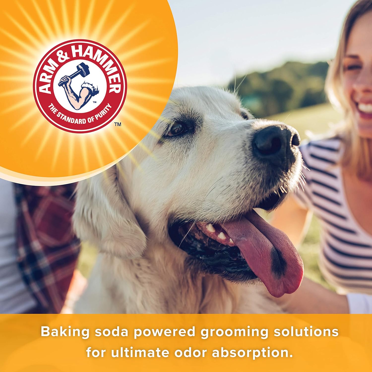 Arm & Hammer for Pets 2-In-1 Shampoo & Conditioner for Dogs | Dog Shampoo & Conditioner in One | Cucumber Mint, 20 Ounce Bottle Dog Shampoo and Conditioner for All Dogs : Everything Else