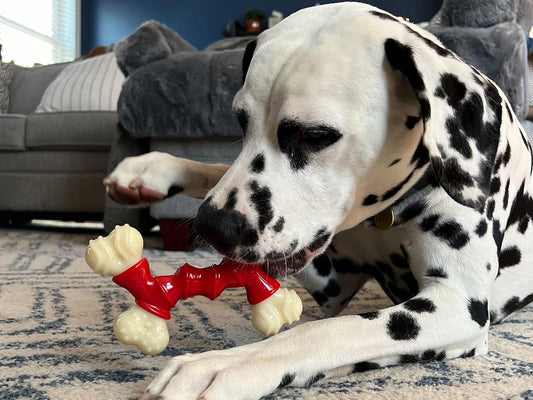 Nylabone Power Chew Double Bone Long Lasting Chew Toy For Dogs Medium - Up To 35 Lbs