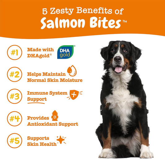 Salmon Fish Oil Omega 3 For Dogs - With Wild Alaskan Salmon Oil - Anti Itch Skin & Coat + Allergy Support - Hip & Joint + Arthritis Dog Supplement + Epa & Dha - 90 Chew Treats - Bacon Flavor