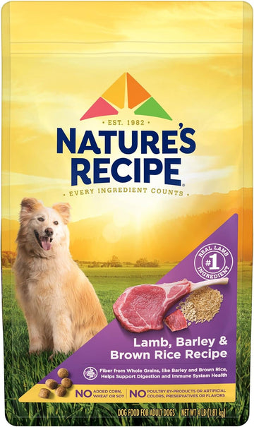 Nature's Recipe Dry Dog Food, Lamb, Barley & Brown Rice Recipe, 4 lb. Bag