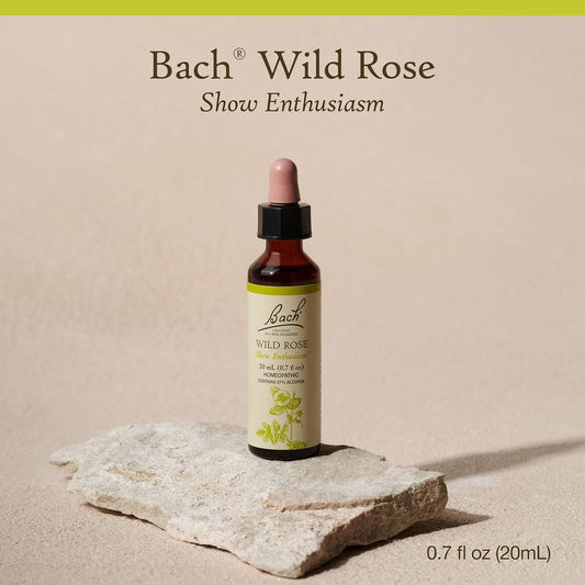 Bach Original Flower Remedies, Wild Rose For Enthusiasm, Natural Homeopathic Flower Essence, Holistic Wellness And Stress Relief, Vegan, 20Ml Dropper