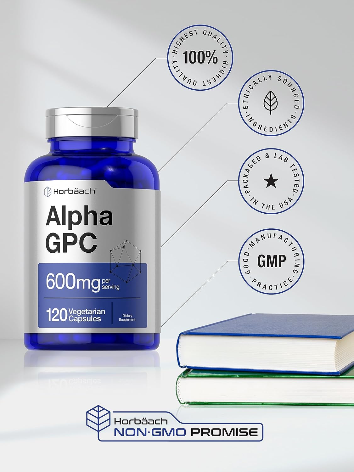 Horbäach Alpha GPC 600mg | 120 Capsules | Vegetarian, Non-GMO & Gluten Free Choline Supplement | Supports Healthy Memory, Focus and Clarity : Health & Household