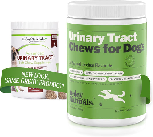 Deley Naturals Dog UTI Prevention - 120 Grain Free Soft Chews - Incontinence, Bladder, Kidney & Immune System Support - Cranberry Pills - D-Mannose & Echinacea - Made in USA - Natural Chicken Flavor