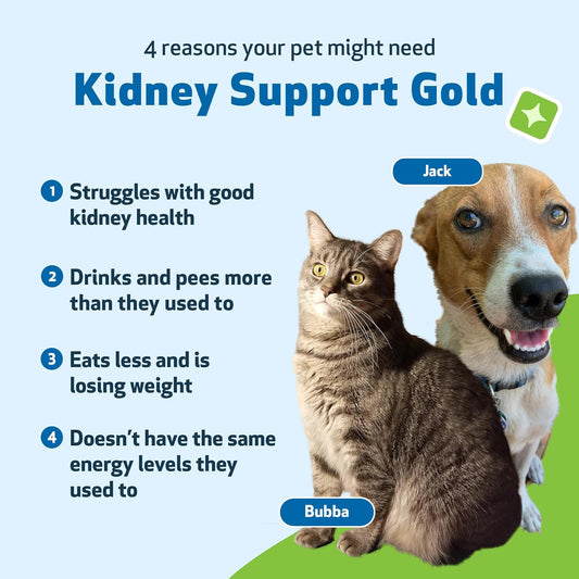 Pet Wellbeing Kidney Support Gold For Dogs & Cats - Supports Healthy Kidney Function - Veterinarian-Formulated Herbal Supplement 4 Oz (118 Ml)
