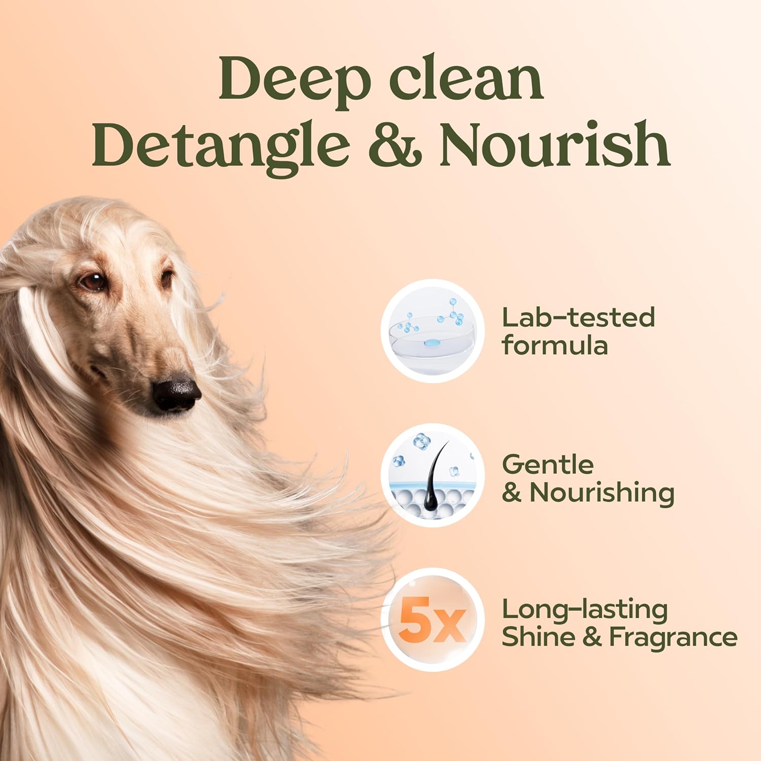 Pawfume Dog Shampoo and Conditioner – Hypoallergenic Dog Shampoo for Smelly Dogs – Best Dog Shampoos & Conditioners – Probiotic Pet Shampoo for Dogs – Best Dog Shampoo for Puppies (Show Dog, 4-Pack)