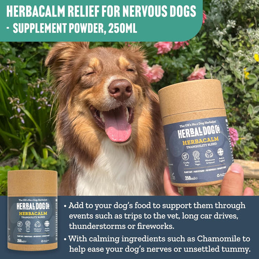 Herbal Dog Co HerbaCalm Powder Calming Supplements for Dog Anxiety, 250ml - Helps with Fireworks, Vet Trips & Separation Anxiety for Dogs & Puppies - All-Natural, Vegan, Made in UK