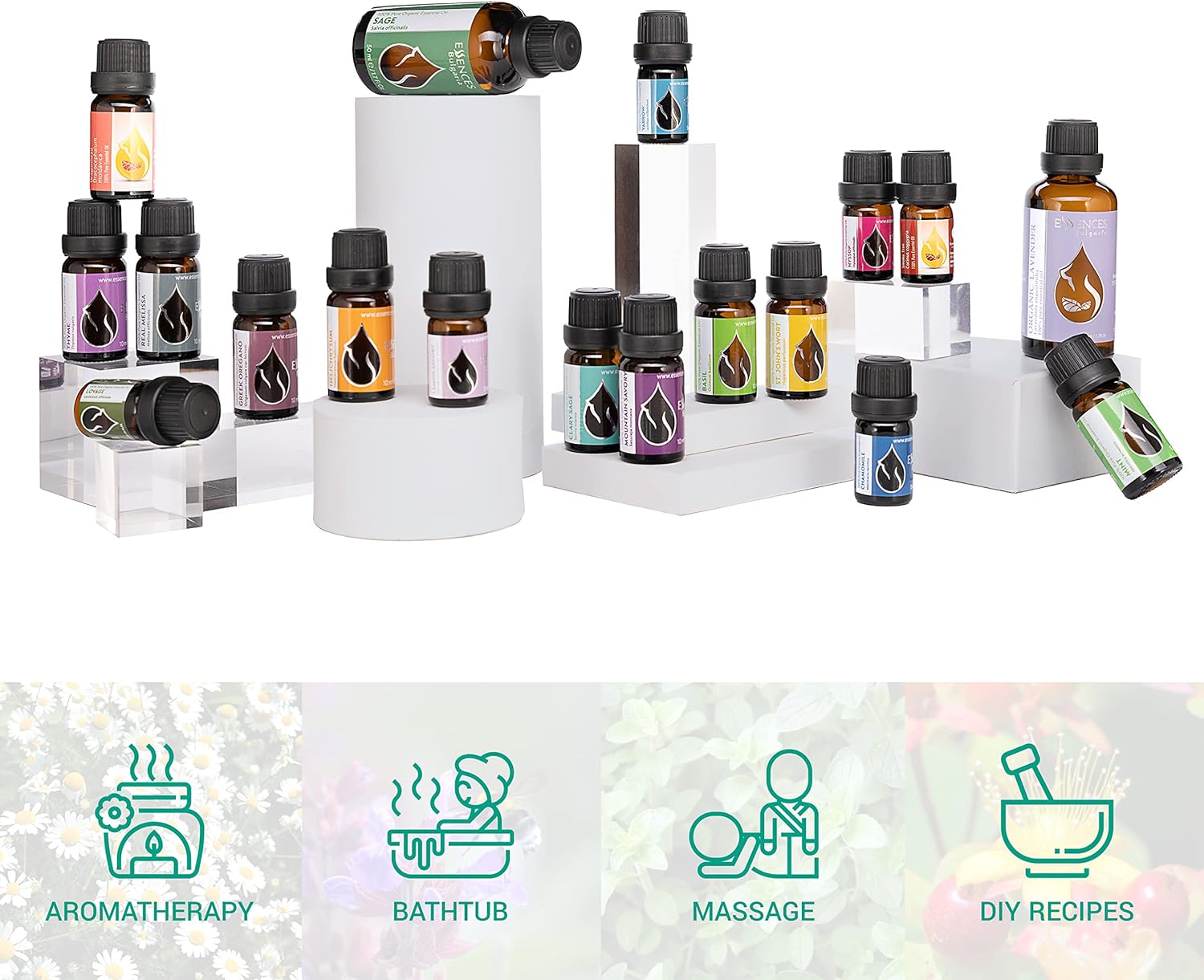 Essences Bulgaria Organic Zdravets Essential Oil 1/6 Fl Oz | 5ml | Geranium macrorrhizum | 100% Pure and Natural | Undiluted | Therapeutic Grade | Family Owned Farm | Steam-Distilled | Non-GMO | Vegan : Health & Household