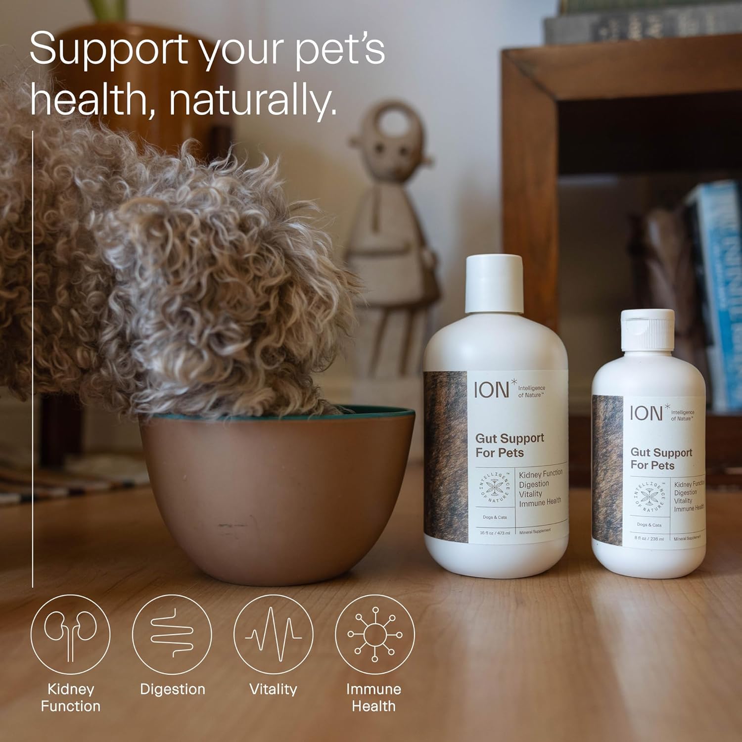 Ion Intelligence Of Nature Gut Support For Pets | Strengthens Digestion, Supports Kidneys, Aids Immune Function, And Defends From Food Toxins (8 Ounce) : Pet Supplies