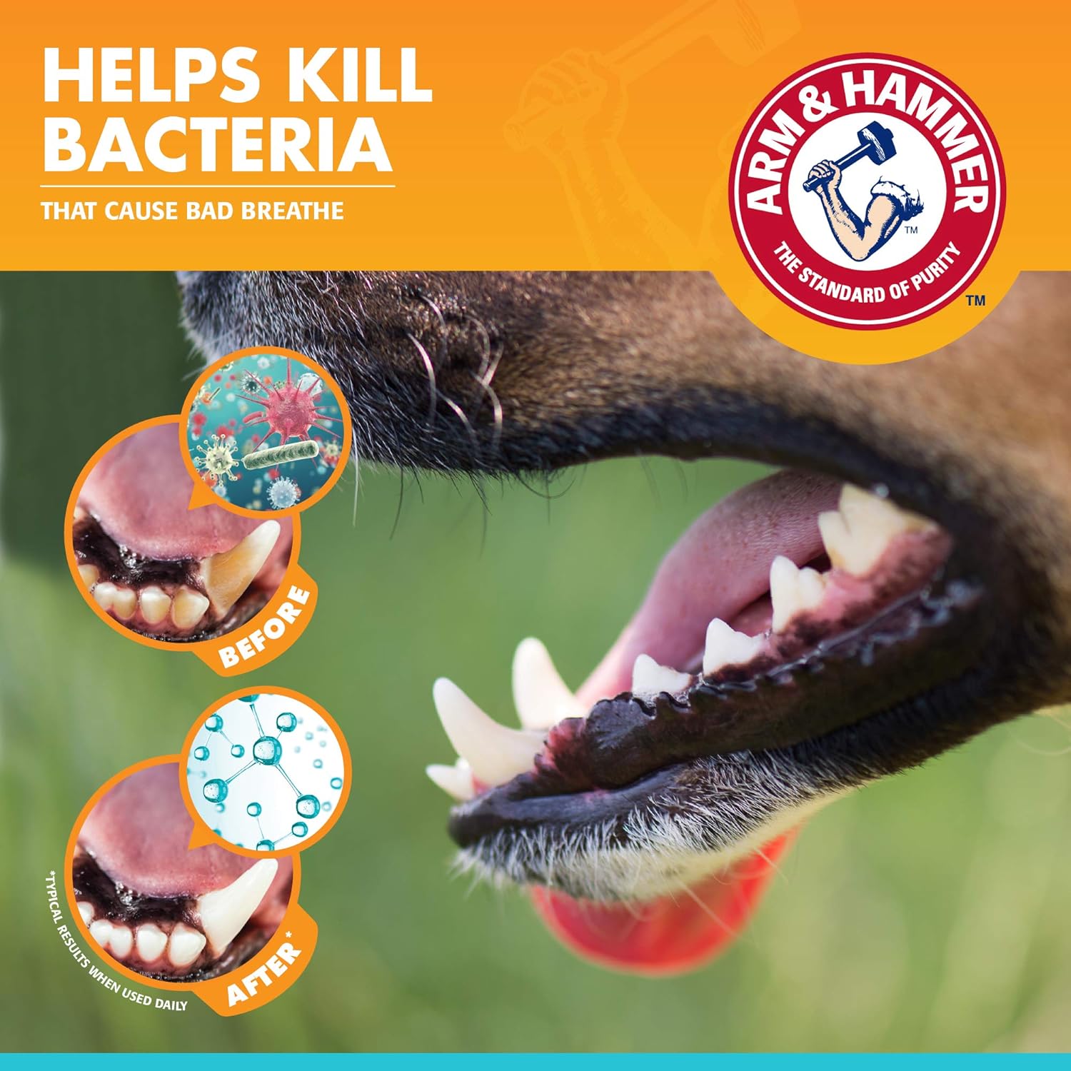 Arm & Hammer Fresh Breath Dental Kit For Dogs, Vanilla Ginger White