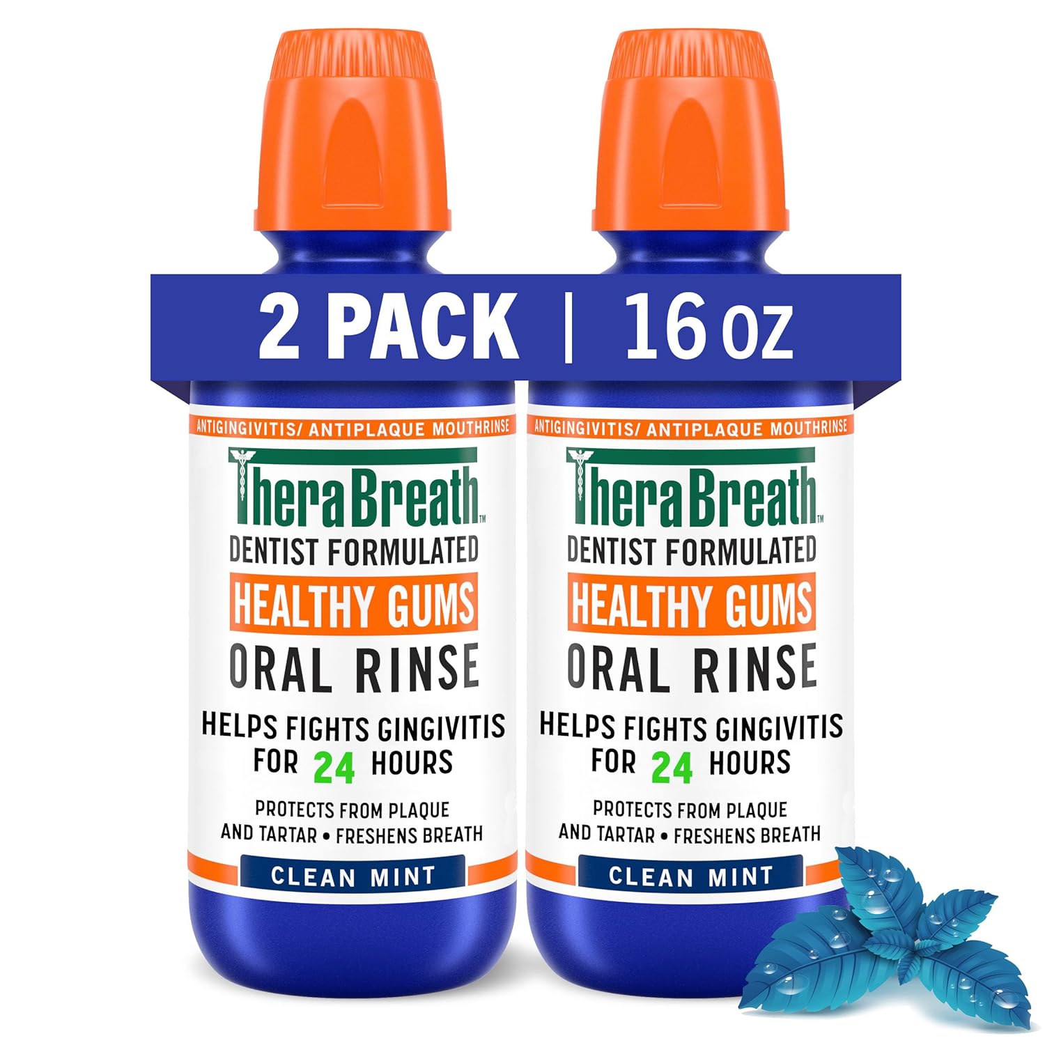 TheraBreath Healthy Gums Mouthwash, Clean Mint, Antigingivitis, Dentist Formulated, 16 Fl Oz (2-Pack)