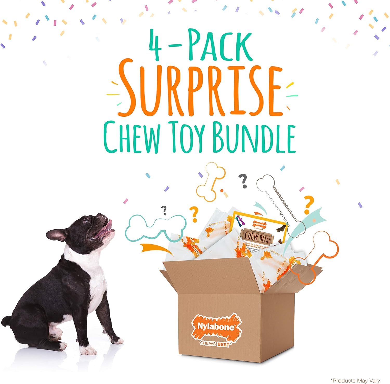 Nylabone Chew Toy Dog Surprise Box Variety Small/Regular (1 Count)