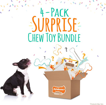 Nylabone Chew Toy Dog Surprise Box Variety Small/Regular (1 Count)