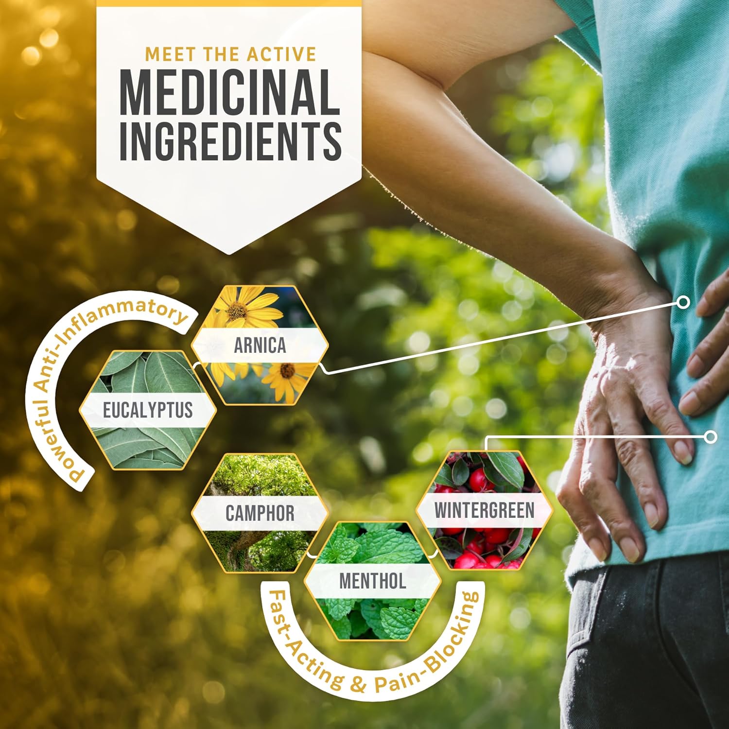 Kalaya Naturals Pain Relief Foam With Arnica - Extra Strength Foam Muscle Rub For Muscle Pain And Joint Pain With Arnica And Eucalyptus - For Adults And Children 12 And Up - 2.7 Oz : Health & Household