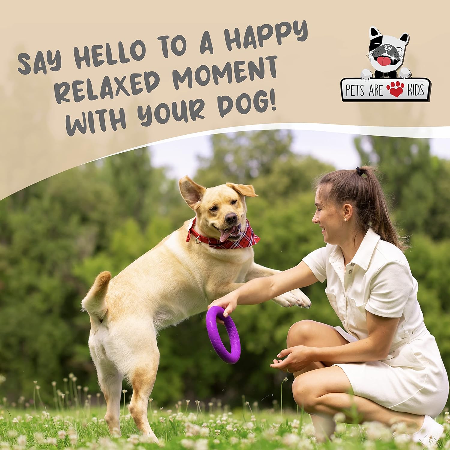 Pets Are Kids Too Soothing Anti Itch Spray for Dogs Cats - Dog Deodorant Natural Aloe Baking Soda Spray Itchy Skin Paws Pet Relief Hypoallergenic Cat Dog Products Allergy Dog Perfume - Oatmeal 8oz : Pet Supplies