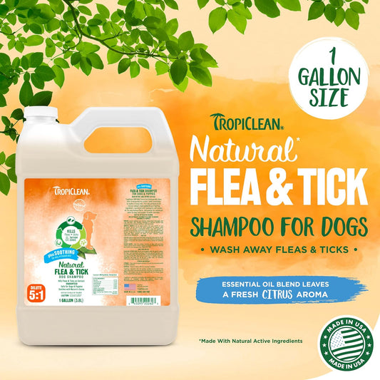 TropiClean Soothing Natural Flea and Tick Dog Shampoo | Natural Flea and Tick Prevention for Dogs | Made in the USA | 1 Gallon