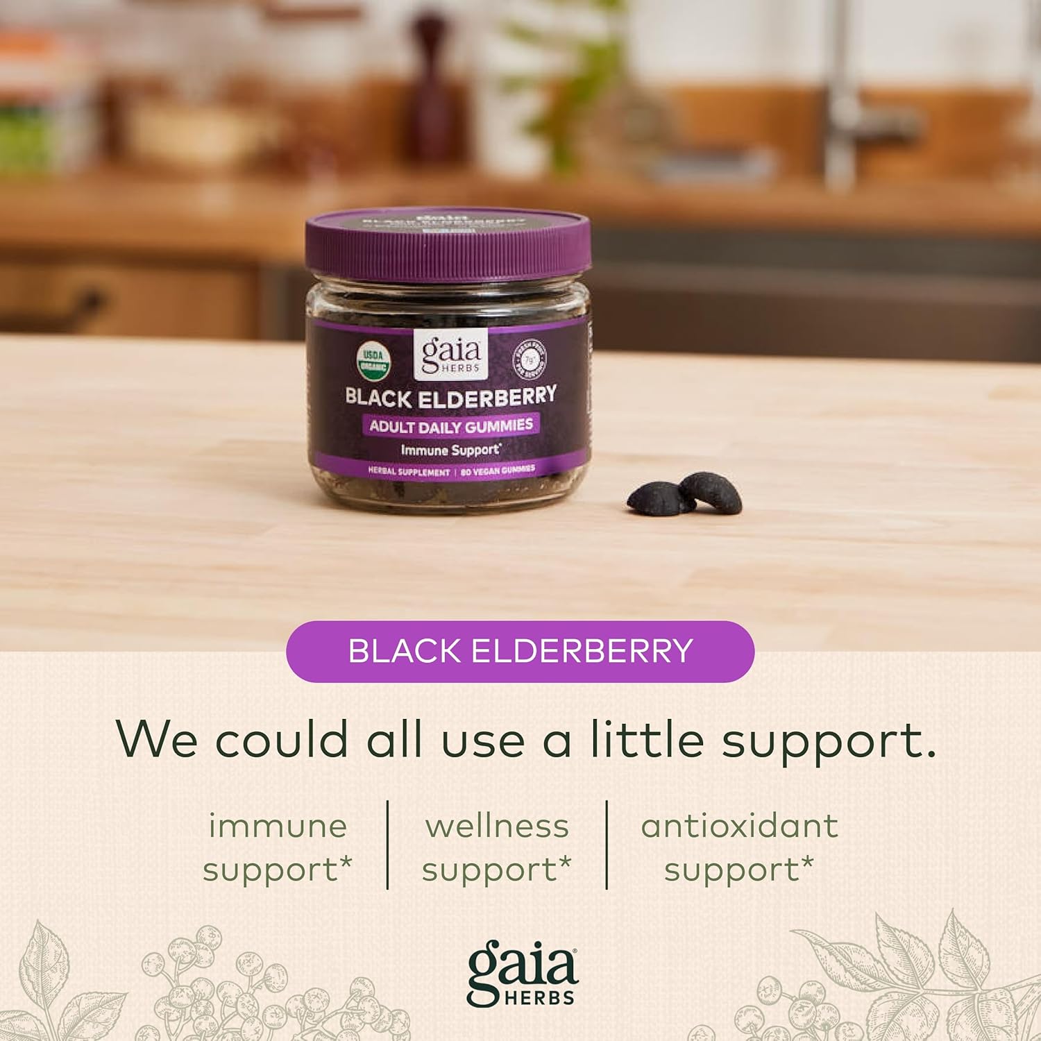 Gaia Herbs Black Elderberry Adult Daily Gummies - Delicious Immune Support Supplement - Made with Certified Organic Black Elderberries for Immune System Support, 40 Gummies (20-Day Supply) : Health & Household