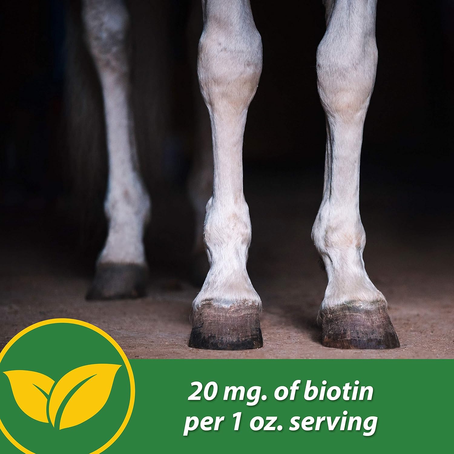 Farnam HB 15 Hoof Supplement, Supports healthy hoof growth 3 pound, 48 Day Supply : Pet Supplies