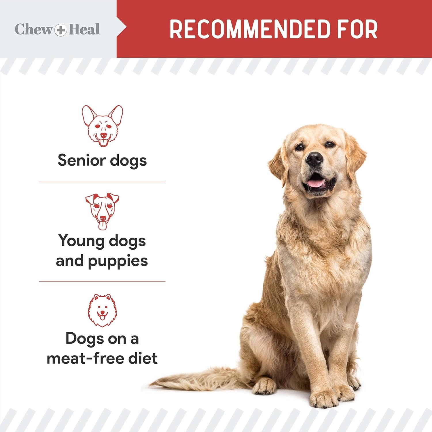 Chew + Heal Labs Dog Salmon Jerky Treats with Cognitive Support - 5 oz of Dog Salmon Treats - Made with Gingko Biloba, Blueberries, Cranberries, Pumpkin, and More - Made in The USA : Pet Supplies